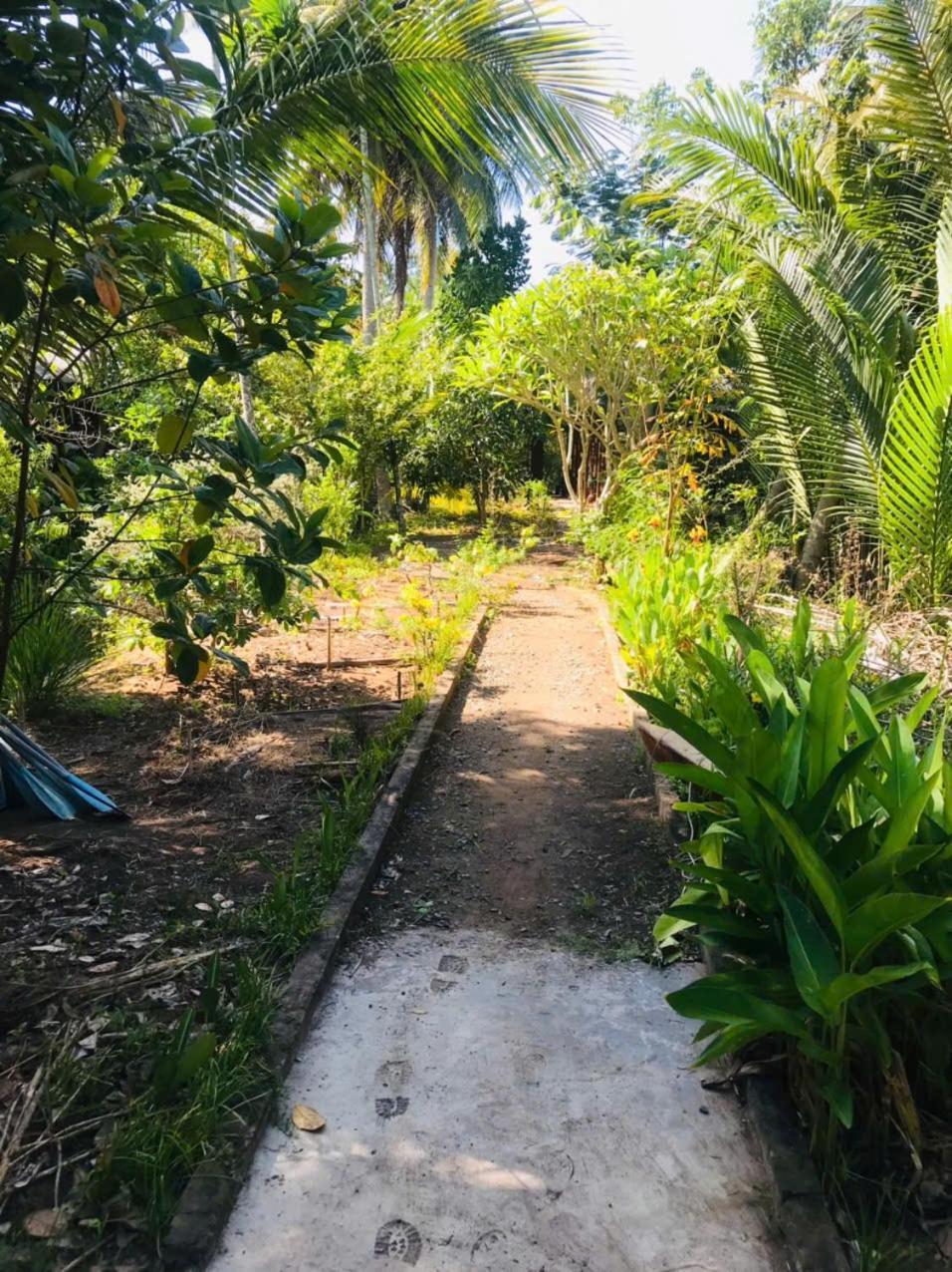 Ba Danh Homestay & Kitchen - Ben Tre Mekong Exterior photo