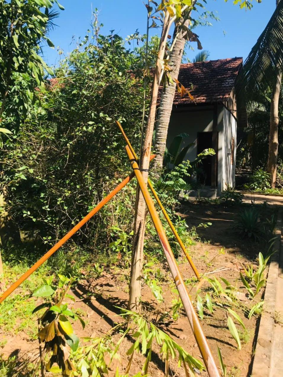 Ba Danh Homestay & Kitchen - Ben Tre Mekong Exterior photo